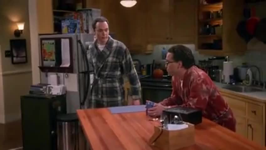 The Big Bang Theory - The Separation Oscillation (S09E09)