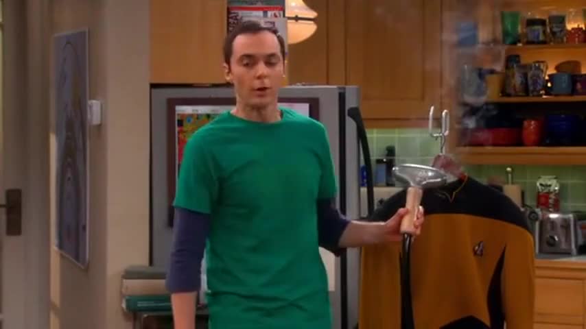 "No, Sheldon, we don't need a steamer."