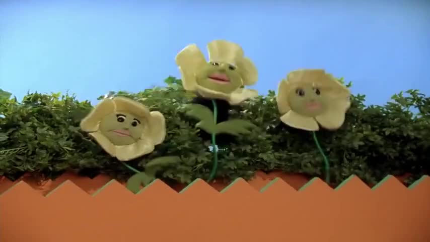 ♪ His flowers are singing