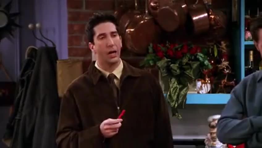 Friends - The One with the Holiday Armadillo (S07E07)