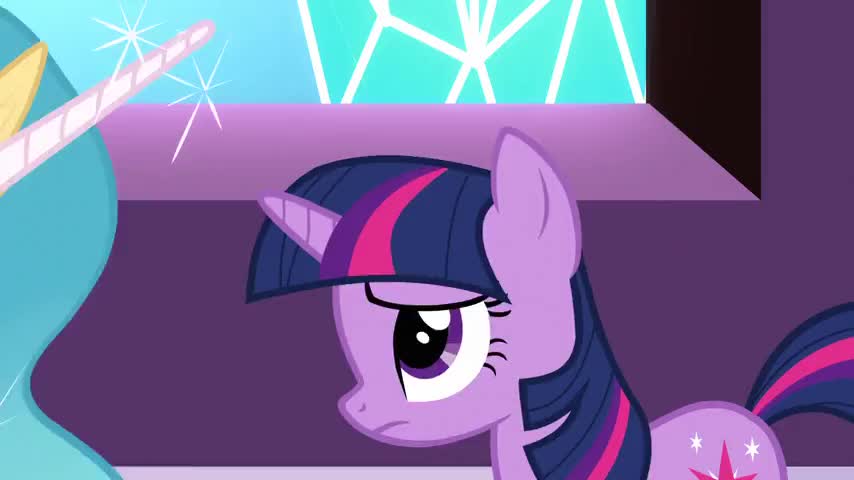 You weren't willing to risk the future of the citizens of the Crystal Empire