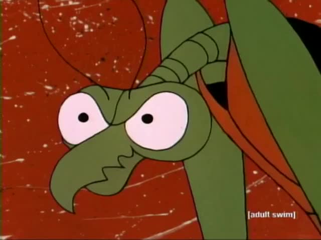 - Zorak, I don't feel well. - You do it.